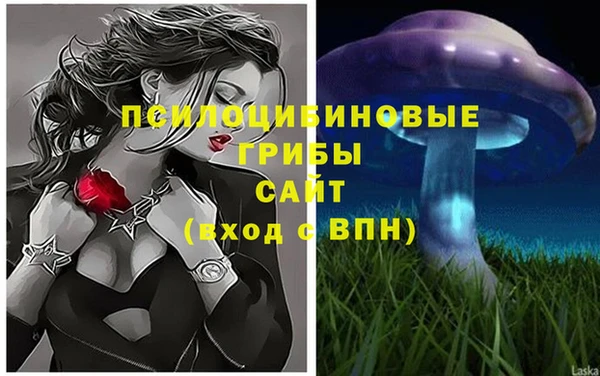 твердый Володарск