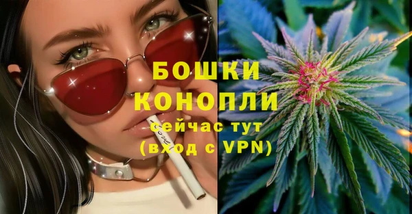 крисы Вяземский