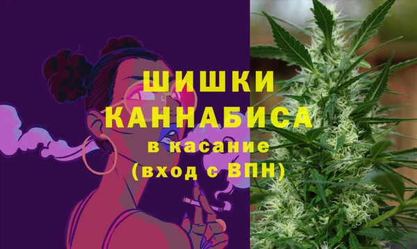 крисы Вяземский