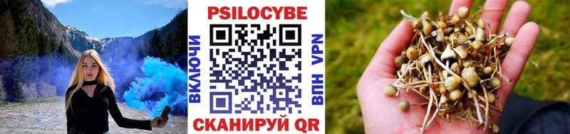 Галлюциногенные грибы Psilocybine cubensis  ОМГ ОМГ маркетплейс  Иваново  хочу наркоту 